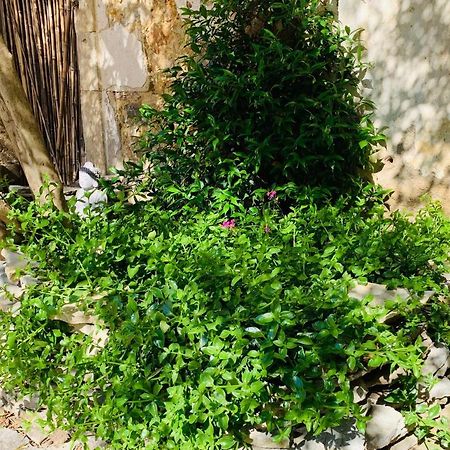 Appartement Avec Jardin Privatif Cazouls-lès-Béziers Eksteriør billede