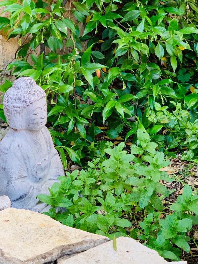 Appartement Avec Jardin Privatif Cazouls-lès-Béziers Eksteriør billede