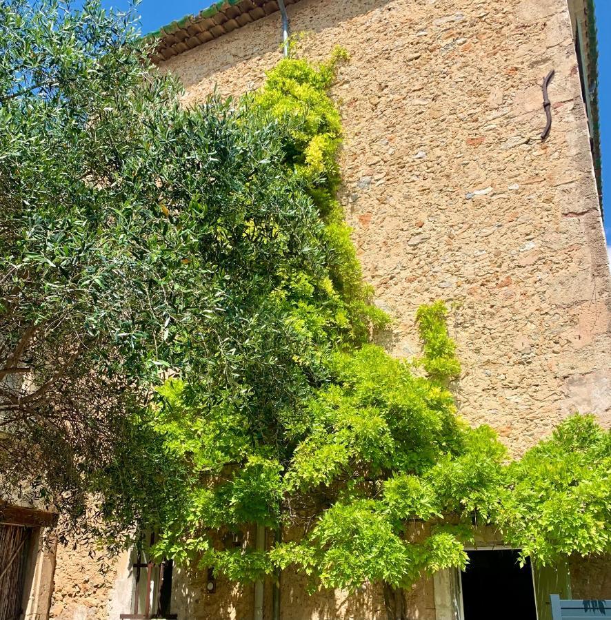 Appartement Avec Jardin Privatif Cazouls-lès-Béziers Eksteriør billede